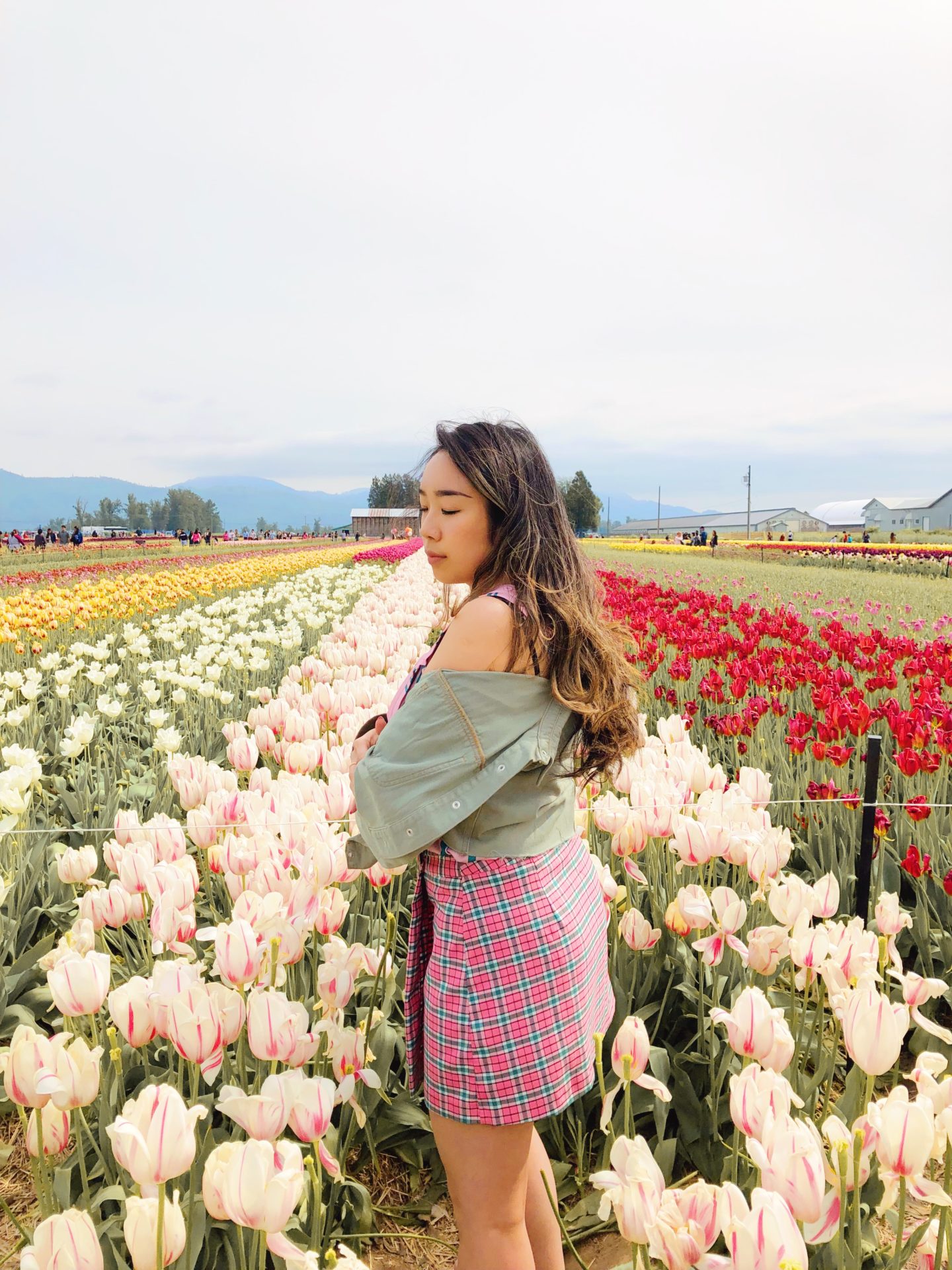 Spending my 27th birthday in the tulip fields 