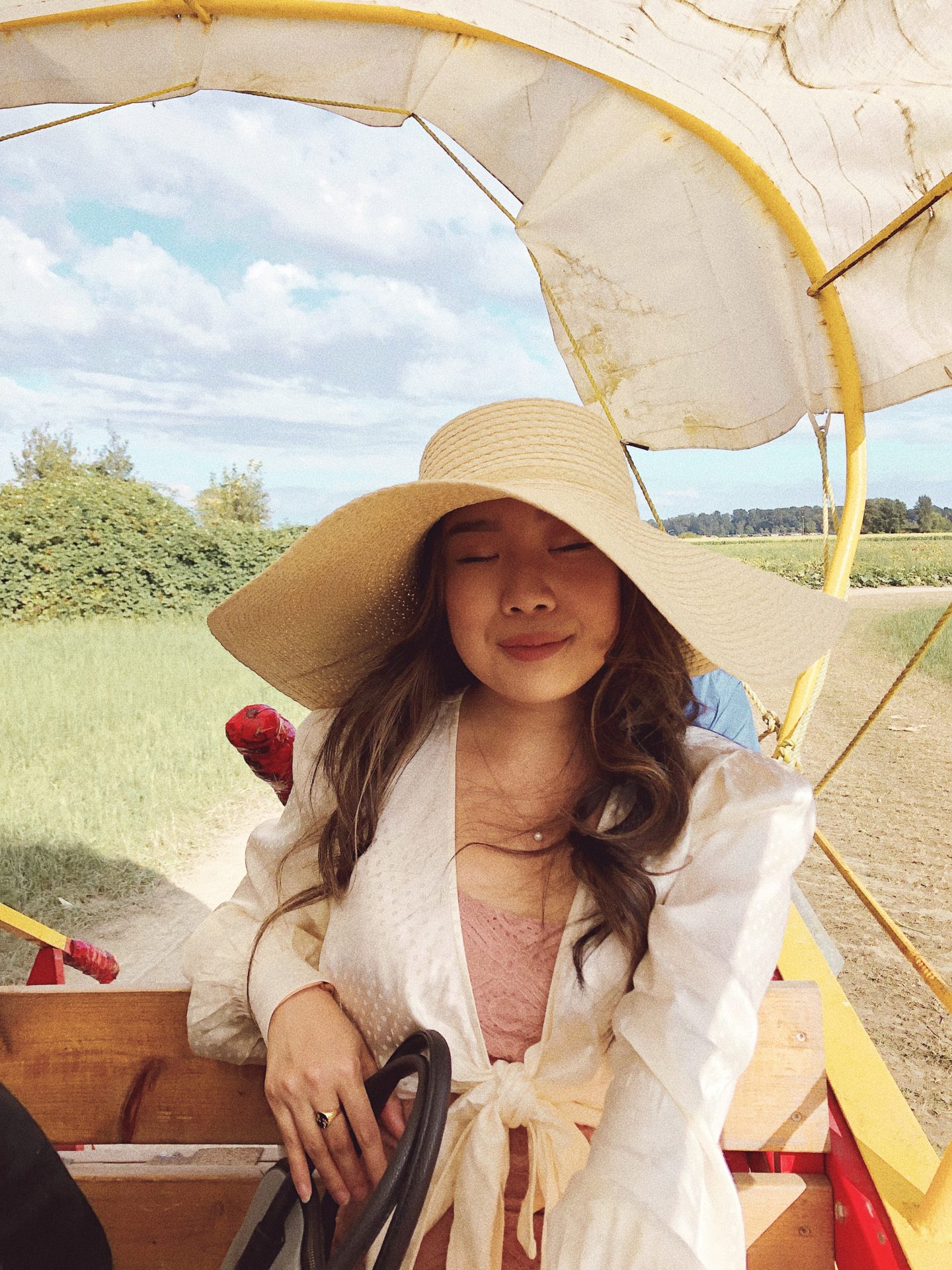 Going on a carriage ride at the sunflower festival 