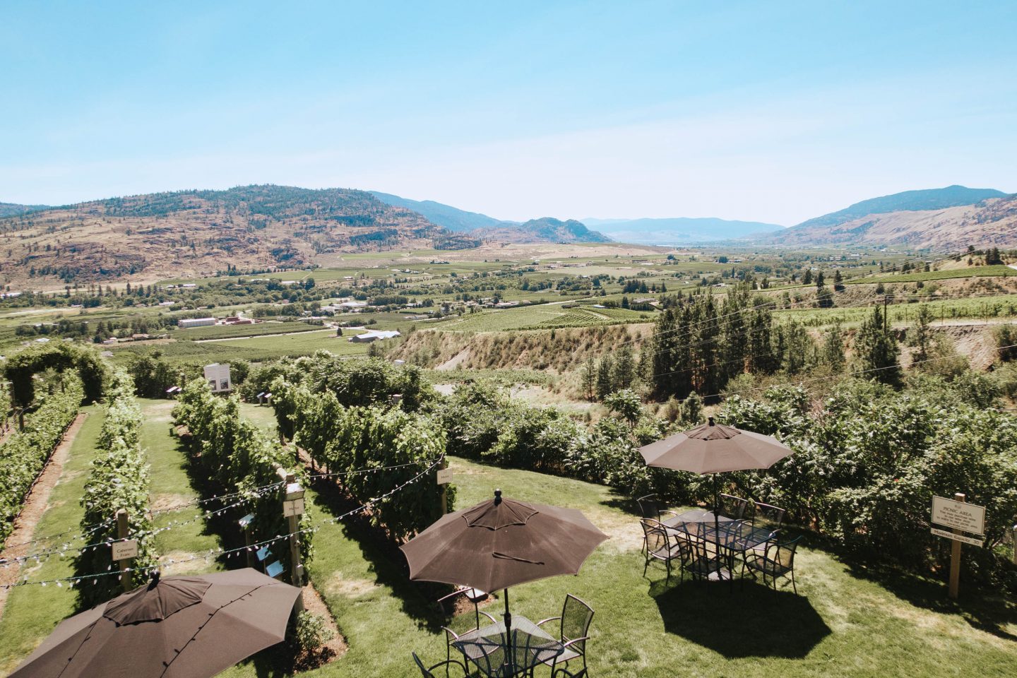 TInhorn Creek Winery vineyard views with a seating area in Osoyoos BC Okanagan 