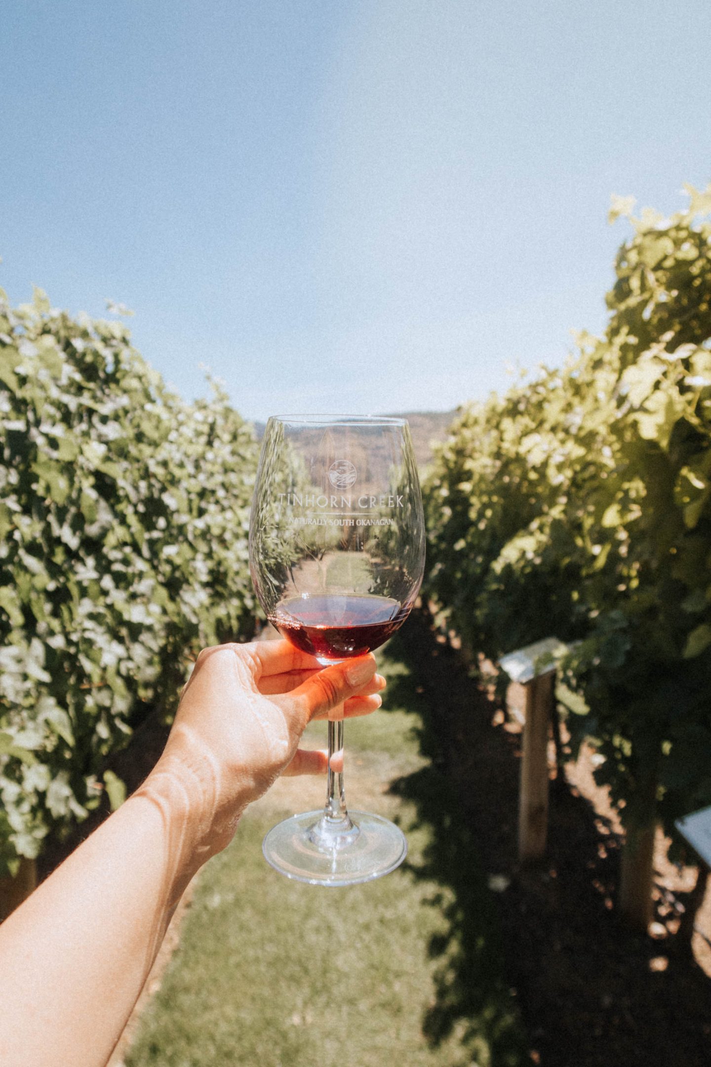 Posing with my wine glass between the vines at Tinhorn Creek Wineries in Osoyoos BC Okanagan