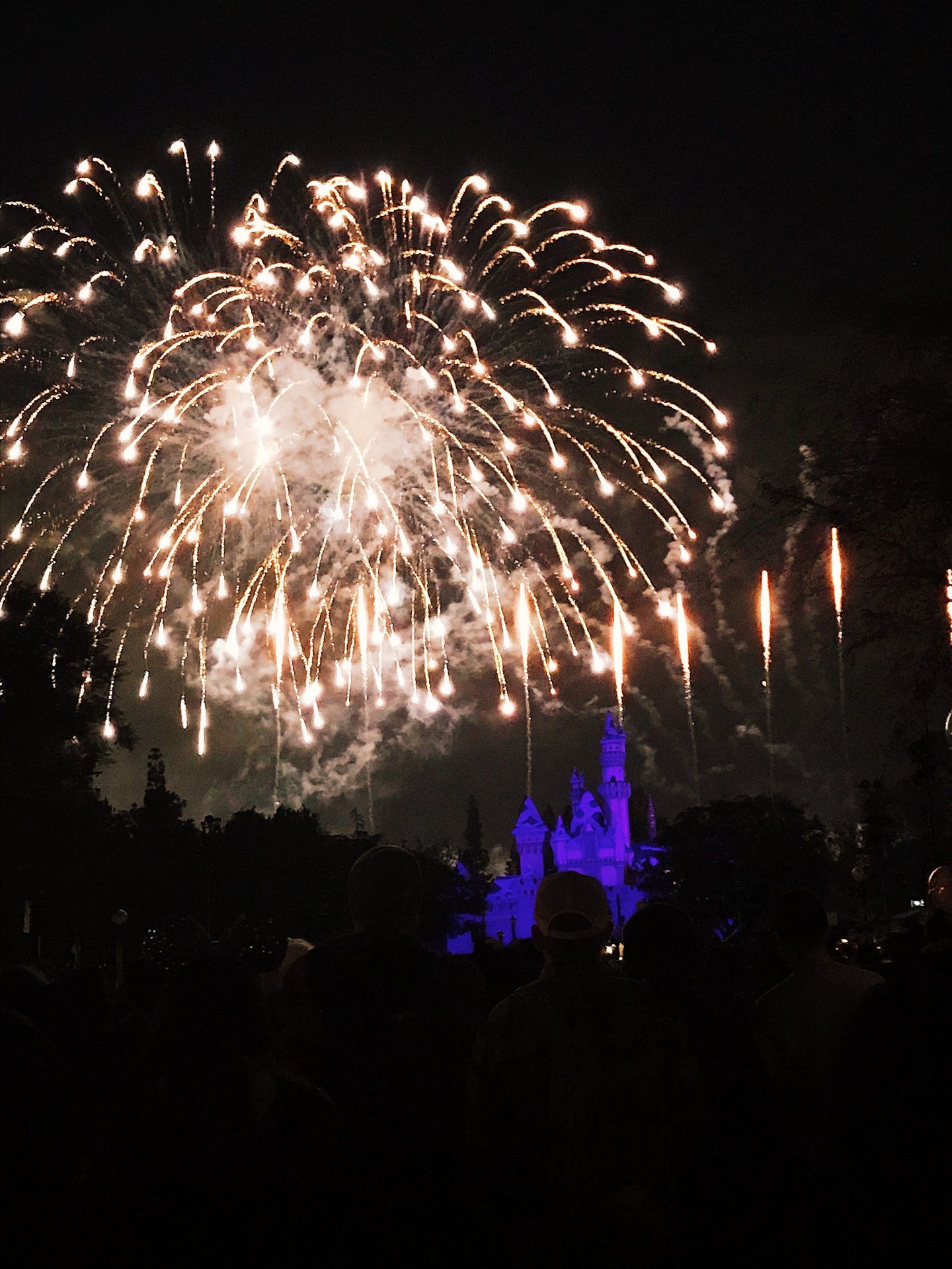Watching the fireworks at Cinderella's castle at Disneyland in Los Angeles 