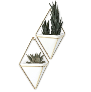 hanging wall planters