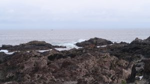 WIld pacific trail
