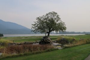 rowenas inn on the river